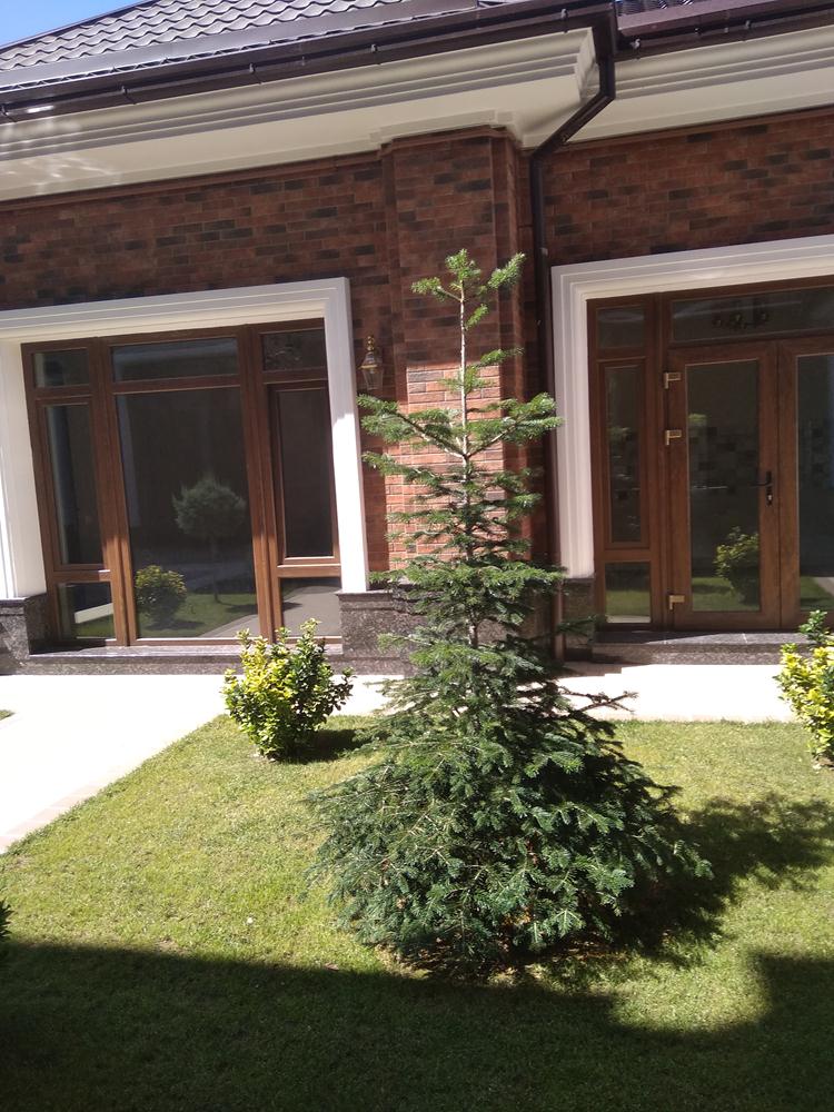 Маляр, плиточник, плотник. Кафельщик Ташкента.
